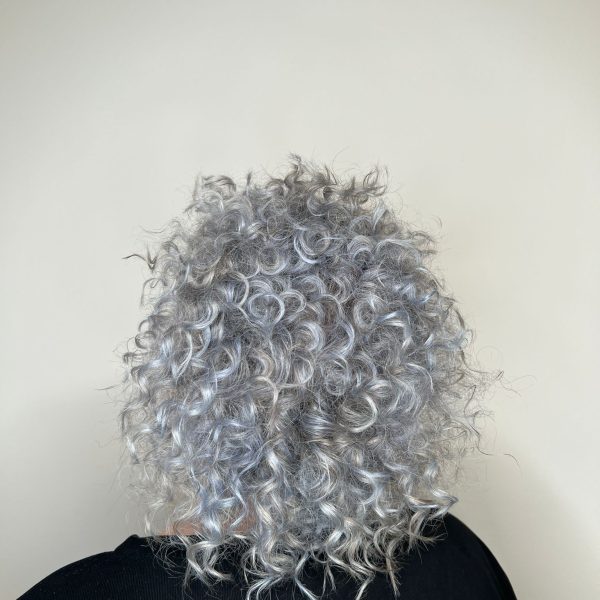 Lady Silver - transizione totale a grigio